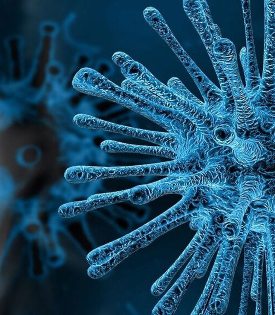 Medidas preventivas ante la pandemia del Covid-19 emitidas por la Secretaría de Salud de México